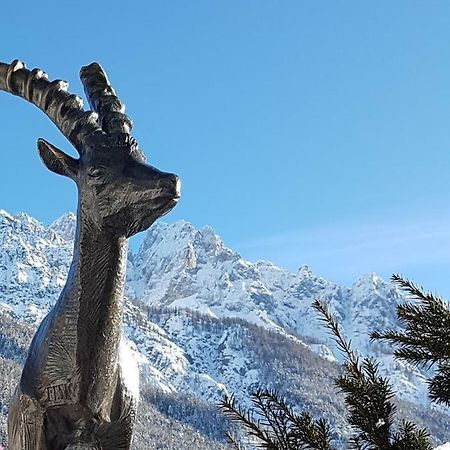 Appartement Nigritella à Kranjska Gora Extérieur photo